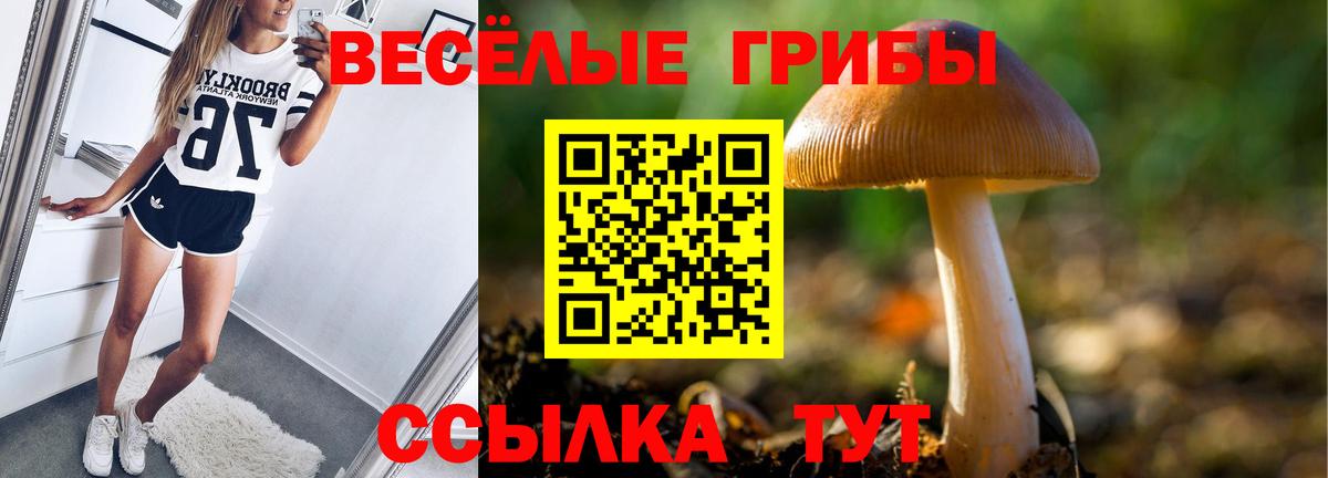 Галлюциногенные грибы мухоморы Соликамск